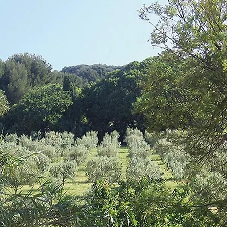 بيت للعطل Au Jardin De La Ferme - Roses Rouges *